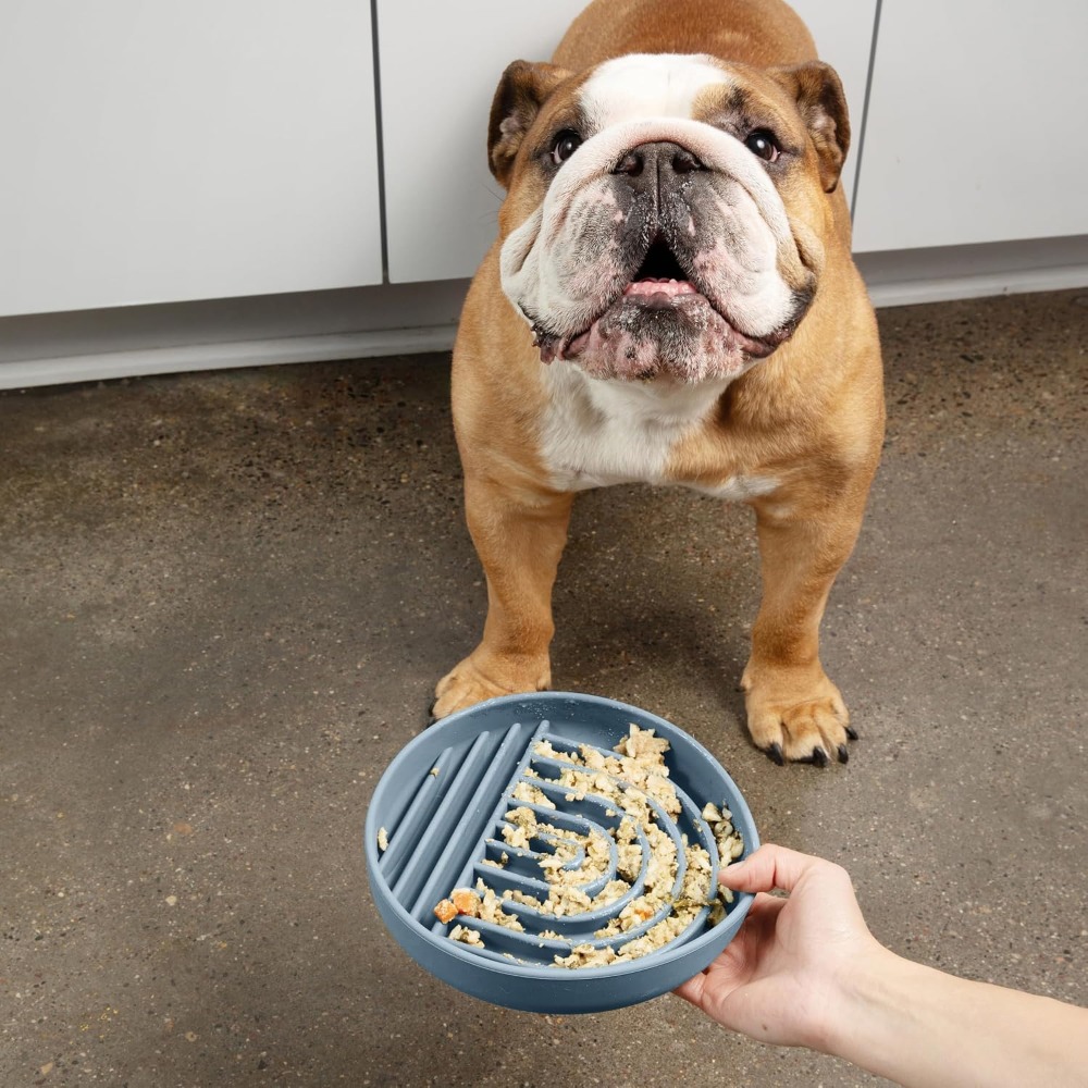 Slow Feeder Dog Bowl - Medium  - Silicone Suction Bowl recensione e prezzo