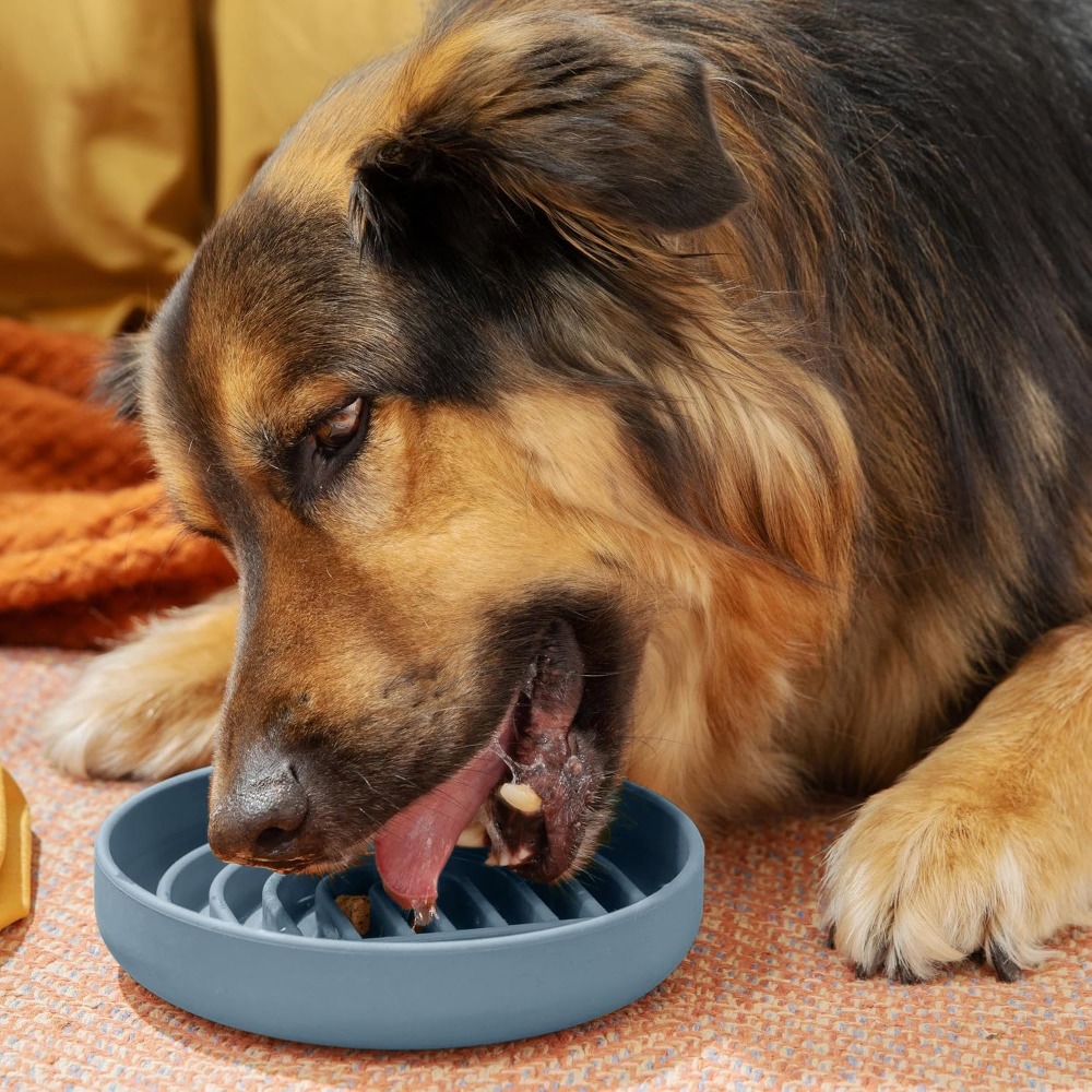 Slow Feeder Dog Bowl - Medium  - Silicone Suction Bowl recensione e prezzo