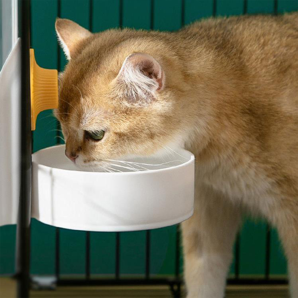 Large Capacity Cat Cage Hangin - Baby Food Cat recensione e prezzo