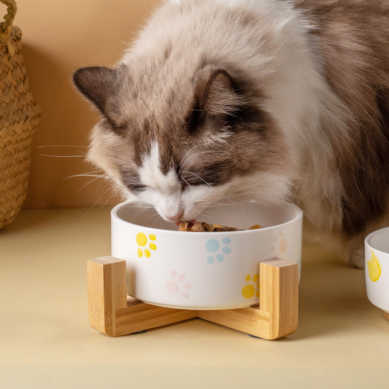 Ceramics Dog Bowl with Wood Ma - Baby Food Cat recensione e prezzo