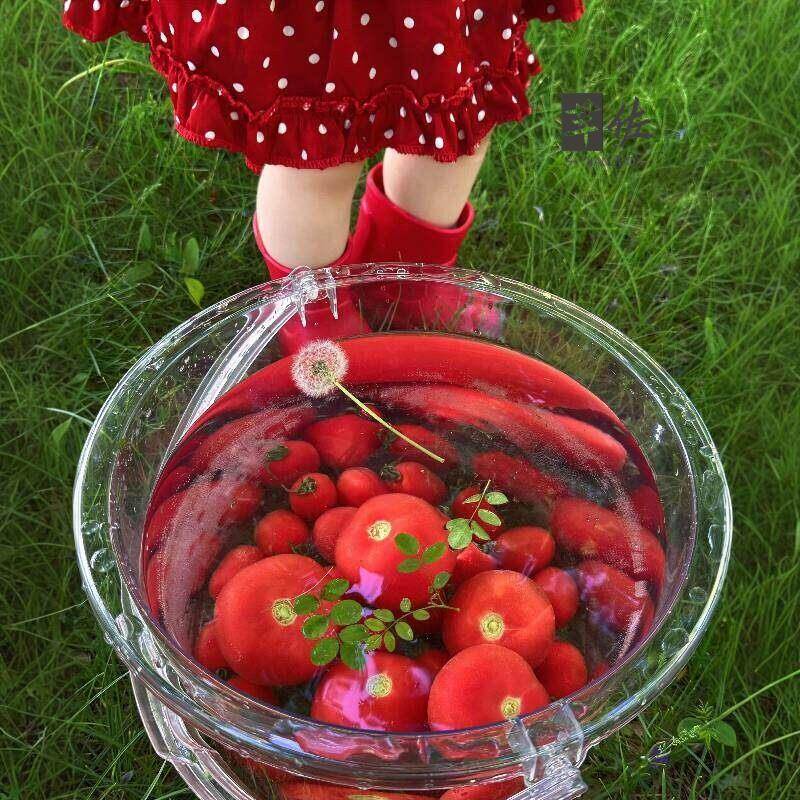 Food Grade Large Capacity Tran - Baby Food Intake recensione e prezzo