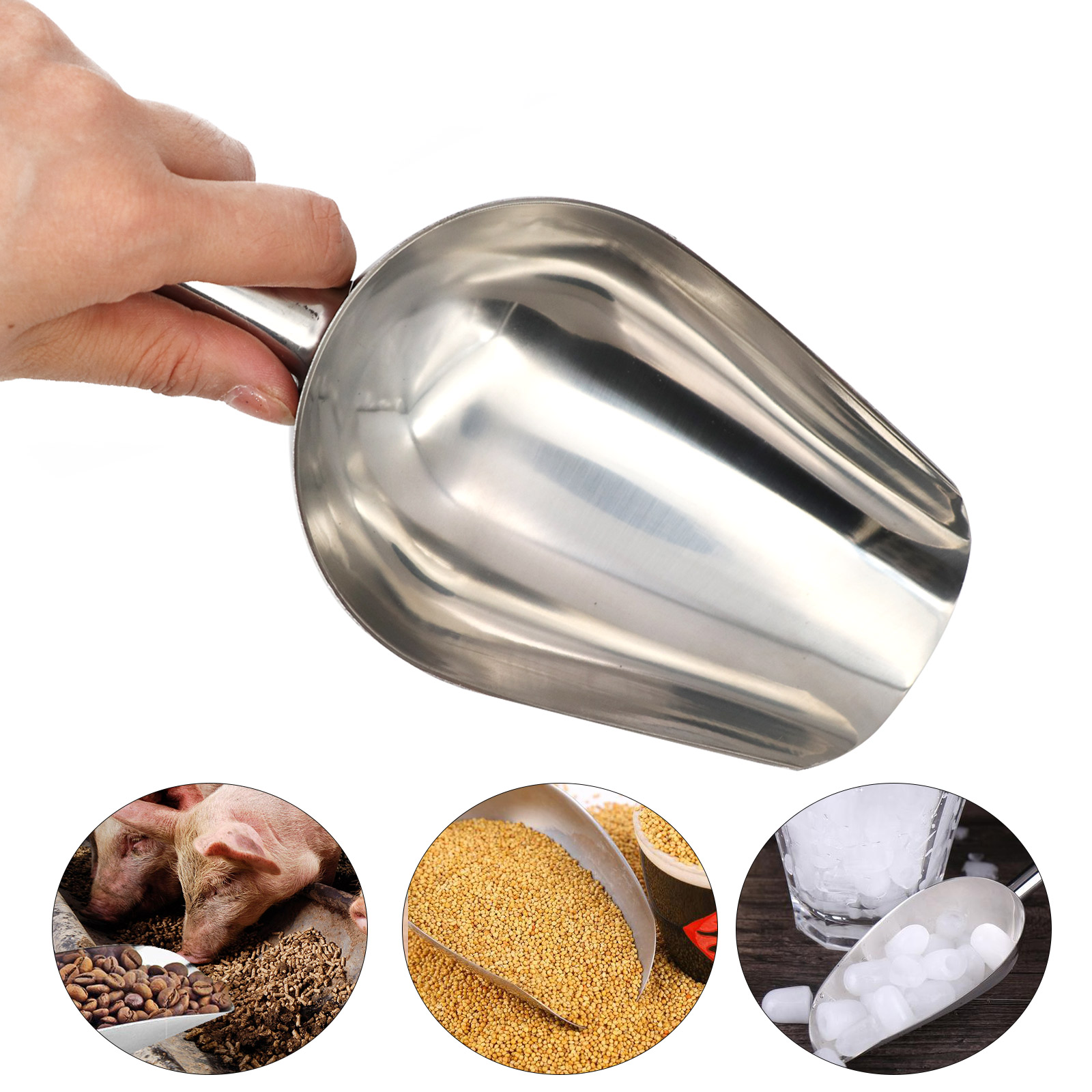 Pet Food Shovel Stainless Stee - Baby Food Cat recensione e prezzo