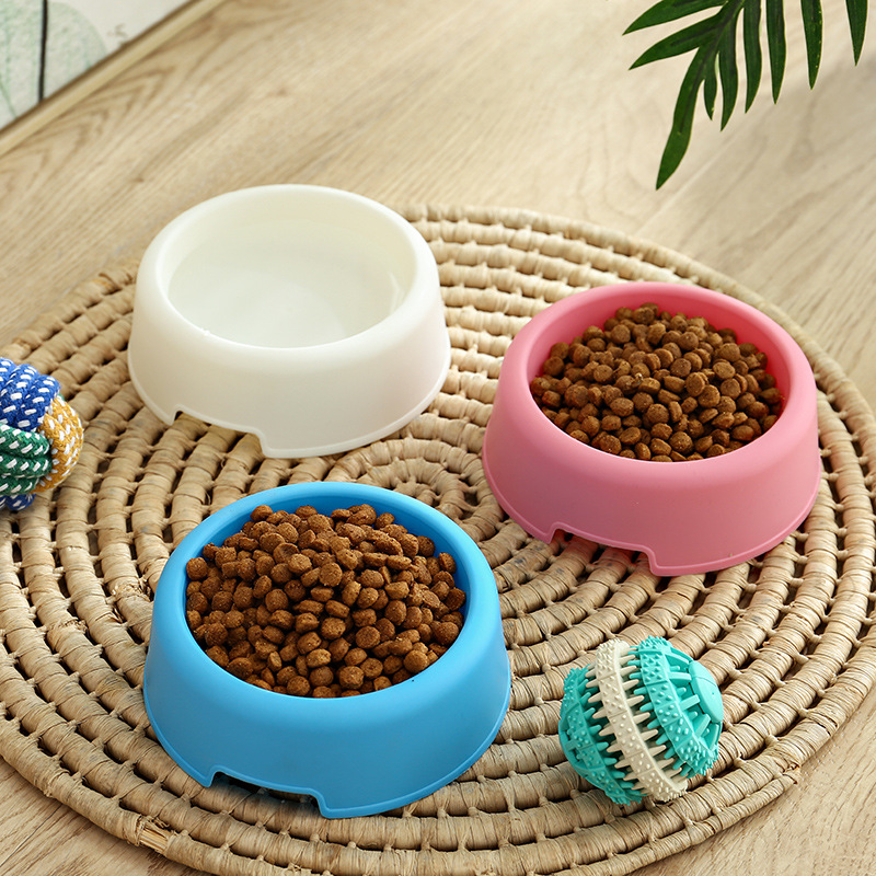 1 piece of high-quality solid  - Baby Food Cat recensione e prezzo