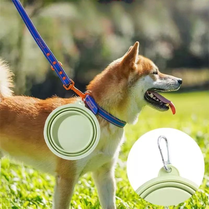 Foldable Pet Bowl, Portable Tr - Baby Food Cat recensione e prezzo