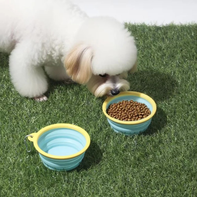 Pet Outdoor Folding Bowl Porta - Baby Food Cat recensione e prezzo