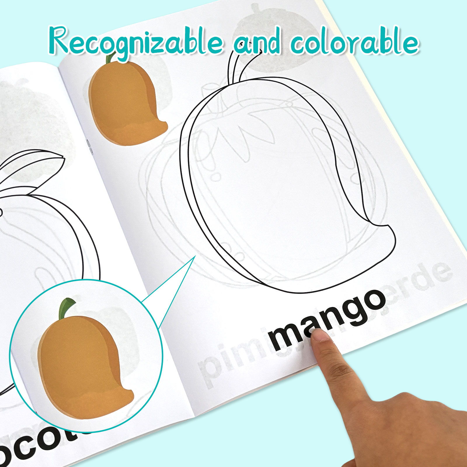 4 Pack Spanish Vocabulary Colo - Baby Food Age recensione e prezzo