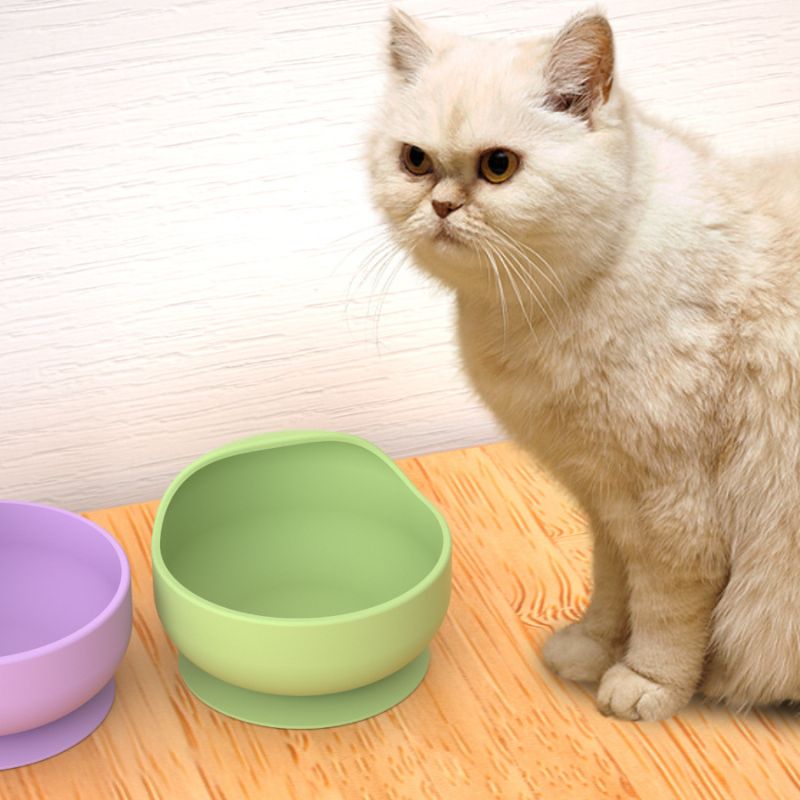 Silicone Pet Bowls with Bottom - Silicone Suction Bowl recensione e prezzo