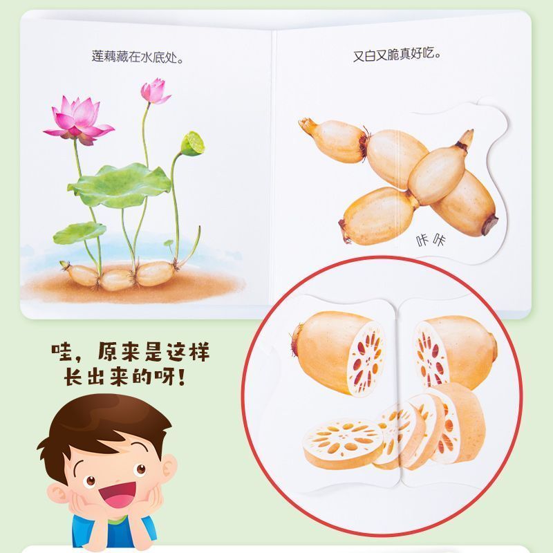Infant Food Education Flipbook - Baby Food Age recensione e prezzo