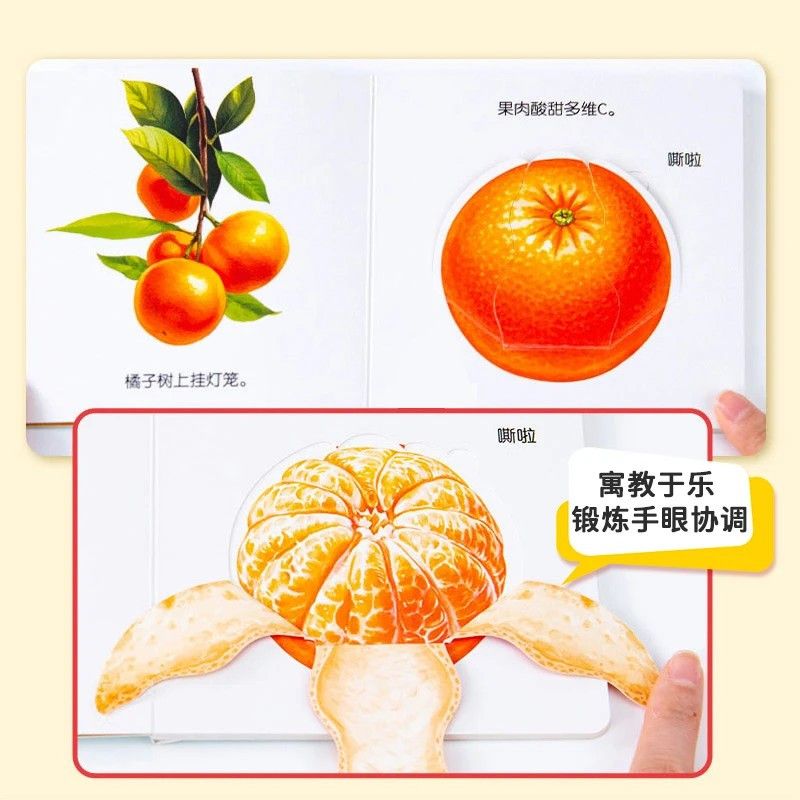 Infant Food Education Flipbook - Baby Food Age recensione e prezzo